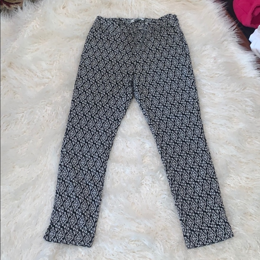 sprinted pants